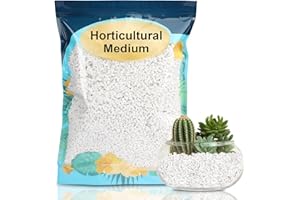 GOTVUGE Perlite horticole pour Plantes, Grand Sac de Perlite pour Le Jardinage, amélioration du Sol pour Une aération et Un Drainage améliorés des Plantes d'intérieur (1L)