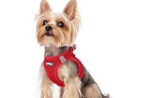 rabbitgoo Arnes Perro Pequeño Rojo XS, Arnés Antitirones para Perros Ajustable Fácil de Poner, Arnes Cachorro de Malla Suave Transpirable, Chaleco Reflectante para Perro Pequeño y Mediano