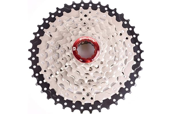 BOLANY Cassette 8-9-10-11-12 Vitesse 11-32T 11-36T 11-40T 11-42T 11-42T 11-46T 11-50T 11-52T Pignon de Roue Libre pour VTT à Rapport Large avec Extension de dérailleur arrière