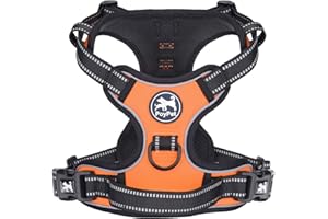 PoyPet No Pull Dog Harness, Reflective Vest Harness with 2 Leash Attachments and Easy Control Handle for Small Medium Large Dog(Orange,L)