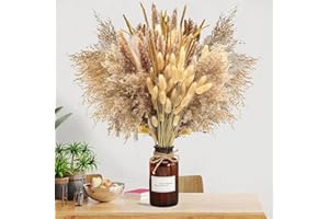 ‎APOMKJOE 73 Stück Pampasgras Getrocknet Natürliche Trockenblumen Deko, DIY Trockene Blüten Strauß Dried Flowers Bouquet Ideal für Boho Herbst Wohnzimmer und Vasen Tischdeko