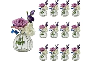 ‎CASAVETRO casavetro 12 x Kleine Vase Blumen Tisch-Vase Dekoration Hochzeit Party Set Flasche Glas klar (12 Stück Prime)(Kürbis-OK)