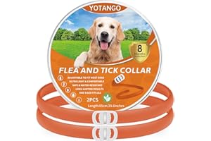 YOTANGO Colliers Anti-Puces pour Chiens, Collier Anti Puces Chien Imperméable, Réglable Collier Anti Puces pour Chien - 8 Mois de Protection Naturelle contre les Puces pour Chiots et Grands Chiens-Orange 2Pcs