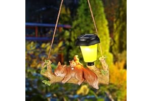 WOWLELA Eichhörnchen Gartenfiguren für Außen mit Solar Laterne,Gartenfiguren Solar Beleuchtete Eichhörnchen Skulptur Ornamente für Außen,Harzskulptur Tierstatuen Figuren mit Solarlicht für Terrasse Yard