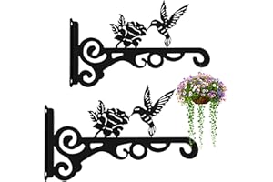 Noviatrix 2 Stück Pflanzenhaken Blumenampelhalter, 25cm Wandhalterung Blumenampel aus Eisen Wandhalterung Pflanzen zum Aufhängen von Blumentöpfen, Vogelhäuschen sowie Dekoartikeln für Garten Balkon