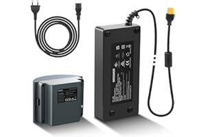 NEEWER Q300 Dummy Akku Set für Q300 Blitzlicht im Freien, mit AC Netzteil und Kabel (EU Stecker), 12,6V 20A Ersatz für Q300 Batterie, intelligenter Sicherheitsschutz, 16,4Fuß Länge, NT-Q300