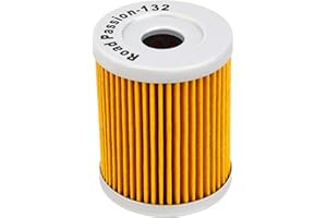 Road Passion Filtre à l'huile pour Arctic Cat 300 2X4 280 1998-2003/300 4X4 280 1998-2005