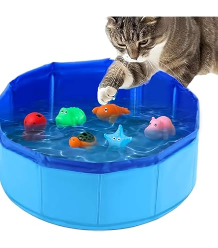 Katzenpool Spielzeug 6-teilig - Schwimmende Fische Für Badespaß
