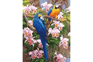 YEESAM ART Stationery Parrot Birds Flowers Tree, Paint by Numbers 16x20 inch DIY Painting Kits for Home Wall Decor (Parrot, Framed)