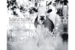 Sharon Lee Hart. Sanctuary: portraits of rescued farm animals. Ediz. illustrata