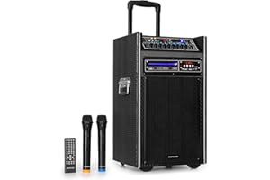 AUNA pro DisGo Box DVD - Impianto PA Portatile con Lettore DVD Integrato, 300 W max., Subwoofer 2 x 10" (25,5 cm), Bluetooth, USB, SD-Slot, Radiomicrofono UHF, Batteria, Telecomando, Nero