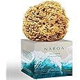 NAROA Natural Soft Loofah Sea Sponges for Bath & Shower | Scrunchie Body Puff Scrubber | Sustainable Eco Gift for Adults Men and Women (Medium)