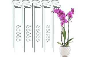 POTWPOT Plant Support Stakes, 10pcs 40cm Single Stem Plant Supports for Garden Metal Plant Support Ring cage with 30Pieces Plant Clips for Garden Flower Orchid Rose Lily Peony Monstera Iris Tomato