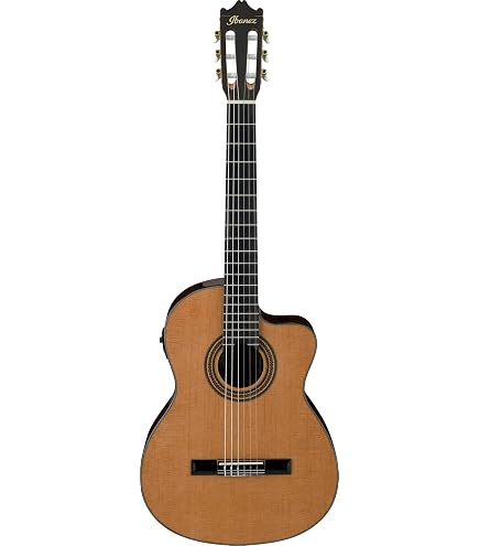 Chitarra Classica Pro Natura 500210.0 Silver Taglia 3/4 – Tavolo In Cedro, Fondo In Rovere, Perfetta Per Bambini 9-11 Anni