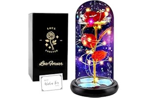 ‎FAYODO FAYODO Die Schöne und das Biest Ewige Rose,Galaxy Rose Geschenk für Freundin