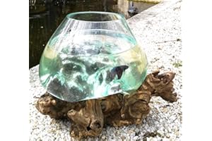 EXOTICA-IMPORT Vase/Aquarium en Verre soufllé sur Racine de Bois, modèle Unique (Hauteur Environ 25cm). Choix sur Photos ENVOYEES Suite A Votre Commande. Vendeur Francais. Livraison en Point Relais