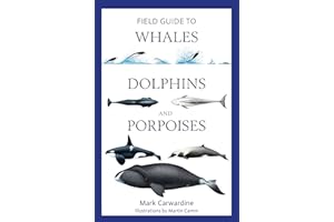 Field Guide to Whales, Dolphins and Porpoises