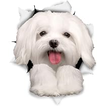 Autocollants Chiens Teckel 3D - Pack De 2 Stickers Vinyle Grand Format, Amovibles, Pour Mur, Frigo, Voiture - 3