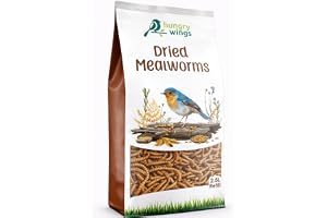 Premium Dried Mealworms, Wild Bird Food, 2.5L Refill Bag