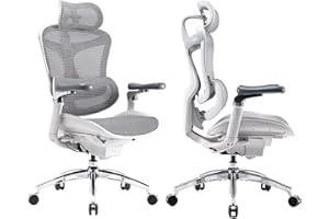 SIHOO Doro C300 Pro Sedia Ergonomica da Ufficio con Braccioli Ultra-Soavi 6D, Supporto Lombare Dinamico e Regolazione Profondità Seduta Sedia da Ufficio Alta per Casa (Bianca)