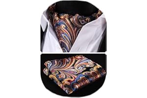 HISDERN Corbata Ascot y Pañuelo Para Hombre Conjunto Corbatas Con Pañuelos Paisley Floral Regalo Boda Elegante Clásico Para Fiesta Business