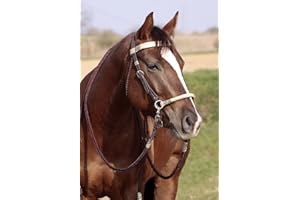 BAREFOOT Acorn – Side Pull Zäumung Size Cob