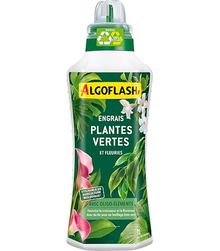 ALGOFLASH Monodose Revitalisante Plantes Vertes & Plantes Fleuries, Une dose pour une cure de 4 semaines, 30 ml, MONOPAV, Vert