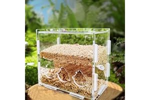 Xemnys Comedero Automático para Pollitos, Comedero para Codornices, Palomas, Gorriones, Perdices, Canarios, Pájaros, Comedero para Pollos Pequeños en Acrílico Transparente