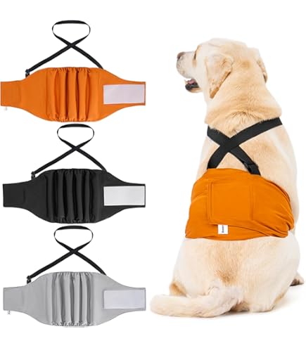 Couches Pour Chien Réutilisables - Harnais à Couches Lavable Pour Chiennes, Protection Pipi Et Chaleurs, Taille Ajustable