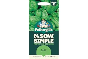 MR FOTHERGILLS Fothergill's Oh Sow Simple, Basil Vegetable Seeds, Sow: Jan–Dec, Green