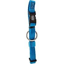 Nobby Halsband Classic Preno Mini – Für Kleine Hunde, Lila, Stufenlos Verstellbar 20-35 Cm