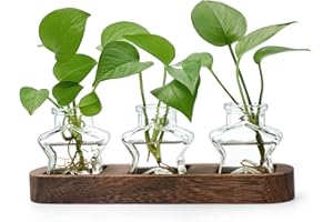 XXXFLOWER Plant Propagation Stations Terrarium Plant Gifts For Women Plant Cutting Holder Star Glass Flower Vase for Centerpieces Gardening Gift for Mum Anniversaries Birthdays Home Wedding Decor