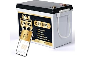 PUPVWMHB 12 V 200 Ah MINI LiFePO4 litiumbatteri, litiumbatteri, 200 A BMS, upp till 15 000 cykler, max 2560 Wh energi med undertemperaturavstängning, perfekt för husbil, sol, trolling-motor
