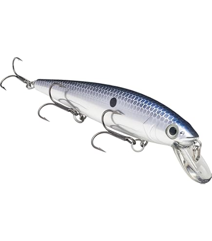 Graine de pastèque Strike King KVD Dream Shot 10 cm
