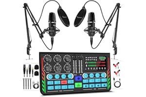 Hayner-Seek Podcast Equipment Bundle for 2, DJ Mixer with 3.5mm Diaphragm Condenser Microphone for Live Streaming, Podcast Recording,Gaming, Youtube, TikTok, PC, Smartphone
