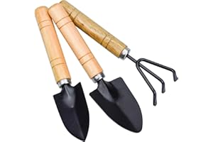 TDDL 3 STK Mini Pflanze Gartengeräte Mini Spaten Schaufel Rechen für Pflanze Topfblumen Sämlinge Pflanze Bonsai Mini Gartengerät mit Holzgriff zum Pflanzen und Jäten