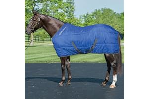 Horses Coperta Box Essential 350gr, Ottima Fattura, Utile per Proteggere Il Cavallo dagli Sbalzi di Temperatura, dalla Pioggia e dagli Insetti