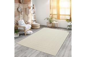 the carpet Kansas - Alfombra para Exterior e Interior con Aspecto de Yute Natural, Resistente a la Intemperie, Apta para Patio y jardín, Crema, 160 x 230 cm