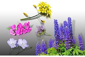 LE GRENIER D'ABONDANCE LES GRAINES QUI DONNENT ENVIE Lot de graines ENGRAIS Vert - Le Grenier d'Abondance - Phacelie Lilla, Sinapis Alba, Lupin Bleu & Lin Bleu & Vesce Bio - plus de 300 grammes 30m²