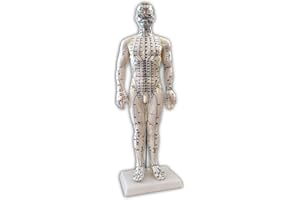 TORTUE DE JADE Mannequin d'acupuncture 50cm