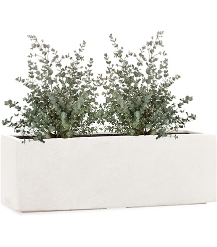 Florus Jive Terrace 80 - L78 x L39 x H37,2 cm - Grande jardinière