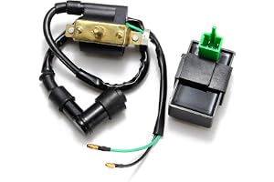 JenNiFer Tändspole + Cdi box för Kazuma Meerkat Falcon Motor 90 110 50 Cc 90 Cc 110 Cc