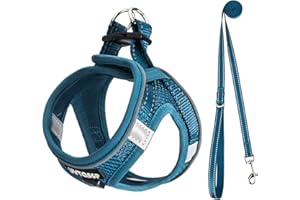 UVTQSSP Hundegeschirr Kleine Hunde mit Leine Gepolstert, Welpengeschirr, Dog Harness Hunde Geschirr Klein, Indigo blau XS