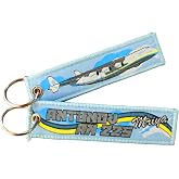 Aviation and Airplane Born To Fly Biker Keychain, ATV, Utv, 4x4 Keychain Backpack and Zipper Accessory 2 pack