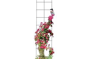 KADAX Enrejado de acero, rejilla de pared para plantas, jardín, balcón, terraza, rejilla de alambre, ayuda para escalar, enrejado para plantas, enrejado, fijación a la pared, negro (35 x 120 cm)