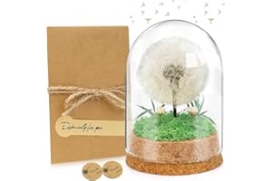 UGBO Idee Regalo Donna Vera Leone in Vetro Fiore Stabilizzato Fiori Stabilizzati Veri Regali Natale Compleanno Anniversario Festa della Mamma Idea Regalo