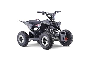 FunBikes Excite 50cc Premium Kids Mini Petrol Quad Bike – 4-Stroke Engine, Easy Pull Start, Twin-Muffler Exhaust, 6" Off-Road Tyres, Disc Brakes (Grey)