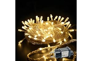 ‎YJY LIGHT YJY LIGHT Lichterkette Außen 15 m mit 100 LED Warmweiß, IP44 Wasserdicht, 8 Modi & Timer, mit Memory-Funktion, Netzstecker, Weihnachtsbeleuchtung für Garten, Balkon & Terrasse