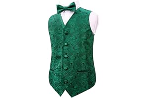 Alizeal Boys Classic Paisley Bow Tie and Suit Vest Set