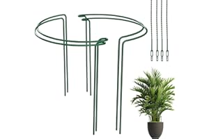 ASSUGO 4Stück staudenhalter rund, 40cm Hoch Ø25cm pflanzenstütze, Monstera rankhilfe zimmerpflanzen Für Große Pflanzen, pflanzenhalter mit 10 Pflanzenbindern, Strauchstütze aus Stahl, Blumenstütze
